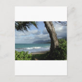 Oahu Beach Briefkaart (Voorkant)