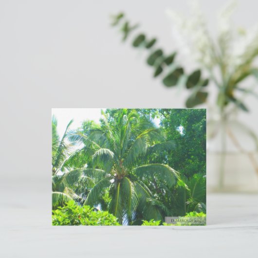 OAHU,HAWAII #17 BRIEFKAART (Staand voorkant)