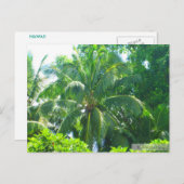 OAHU,HAWAII #17 BRIEFKAART (Voorkant / Achterkant)