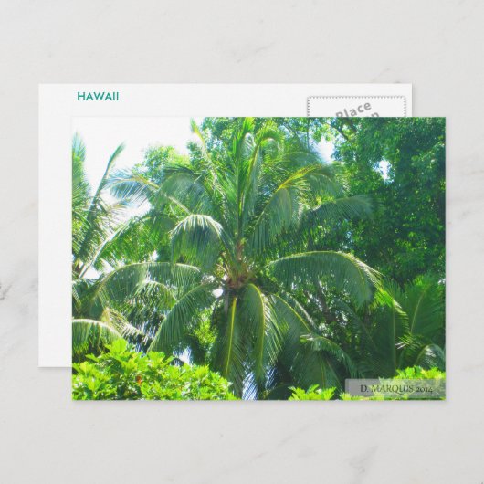 OAHU,HAWAII #17 BRIEFKAART (Voorkant / Achterkant)
