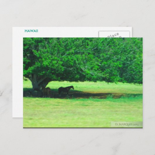 OAHU,HAWAII #19 BRIEFKAART (Voorkant / Achterkant)