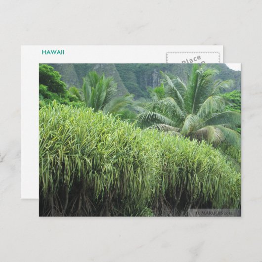 OAHU, HAWAII #2 BRIEFKAART (Voorkant / Achterkant)