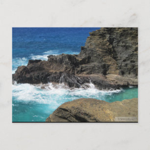 OAHU, HAWAII#4 BRIEFKAART