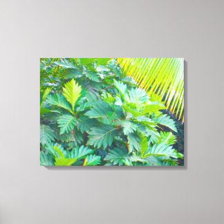 OAHU HAWAII #5 CANVAS AFDRUK