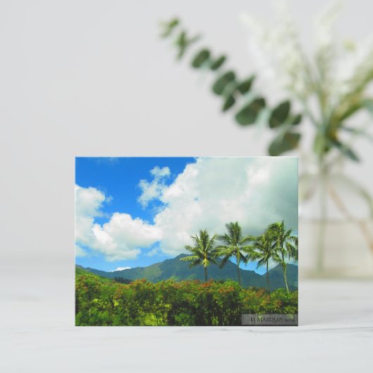 OAHU, HAWAII#6 BRIEFKAART (Staand voorkant)