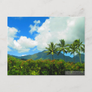 OAHU, HAWAII#6 BRIEFKAART