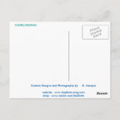 OAHU, HAWAII#7 BRIEFKAART (Achterkant)