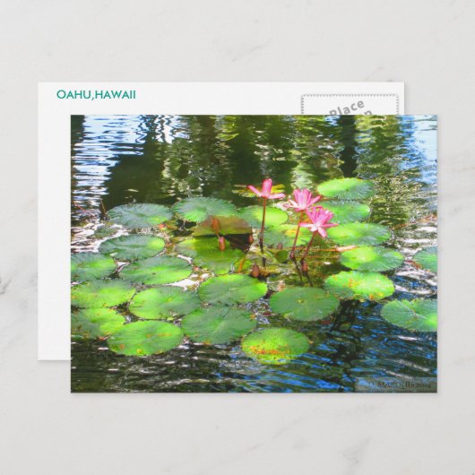 OAHU, HAWAII#8 BRIEFKAART (Voorkant / Achterkant)