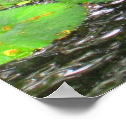 OAHU, HAWAII # 8 POSTER (Hoek)