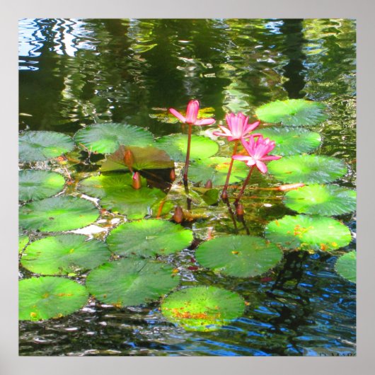 OAHU, HAWAII # 8 POSTER (Voorkant)