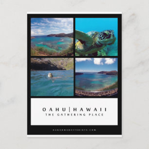 Oahu Hawaii Hanauma Bay Post Kaart