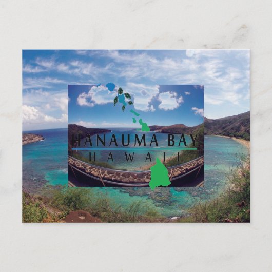 Oahu Island Turtle Briefkaart (Voorkant)