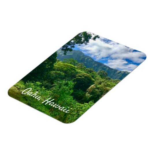 Oahu, regenwoud Hawaii Magneet (Linkerzijde)
