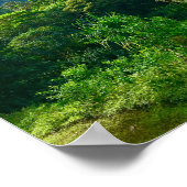 Oahu, regenwoud Hawaii Poster (Hoek)