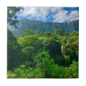 Oahu, regenwoud Hawaii Tegeltje (Voorkant)