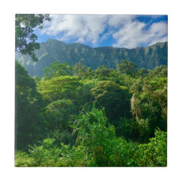 Oahu, regenwoud Hawaii Tegeltje