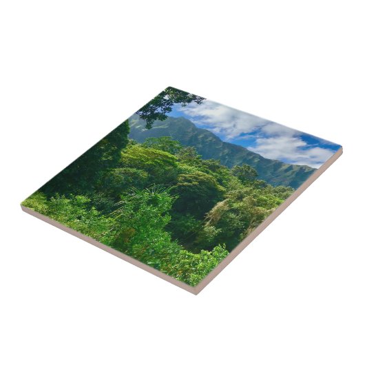 Oahu, regenwoud Hawaii Tegeltje (Zijkant)