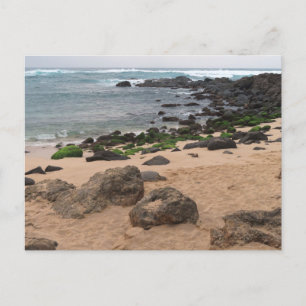 Oahu's Noordkust en Zeeschildpad  Briefkaart
