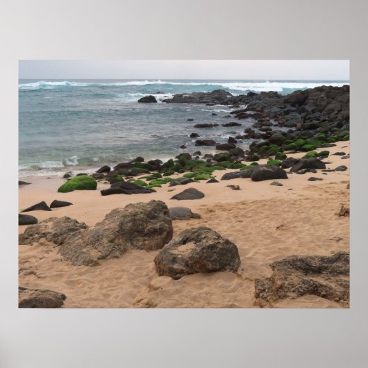 Oahu's Noordkust en Zeeschildpad Poster (Voorkant)