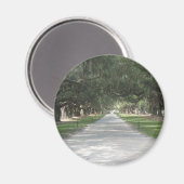Oak Alley in Boone Hall, Charleston SC Magnet (Voorkant / Achterkant)