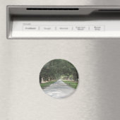 Oak Alley in Boone Hall, Charleston SC Magnet (Insitu (Vaatwasser))