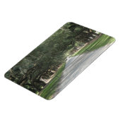 Oak Alley in Boone Hall, Charleston SC Magnet Magneet (Linkerzijde)