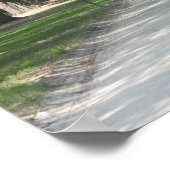 Oak Alley in Boone Hall, Charleston SC Poster (Hoek)