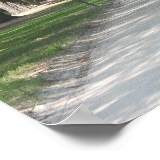 Oak Alley in Boone Hall, Charleston SC Poster (Hoek)