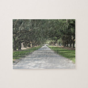 Oak Alley in Boone Hall, Charleston SC Puzzle Legpuzzel