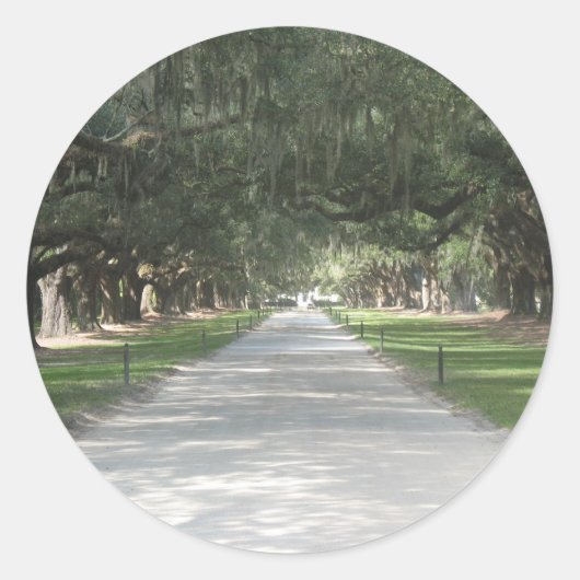 Oak Alley in Boone Hall, Charleston SC Stickers (Voorkant)