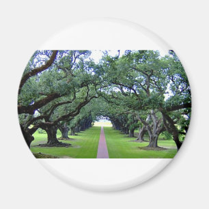 Oak Alley Magneet