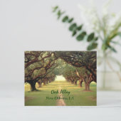 Oak Alley New Orleans Briefkaart (Staand voorkant)