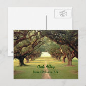 Oak Alley New Orleans Briefkaart (Voorkant / Achterkant)