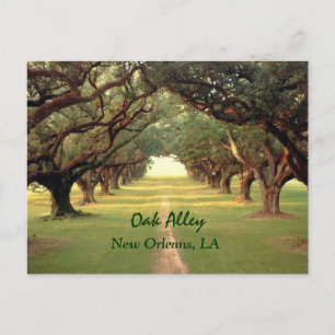 Oak Alley New Orleans Briefkaart