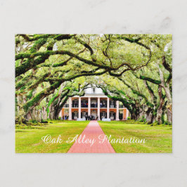 Oak Alley Plantage Briefkaart