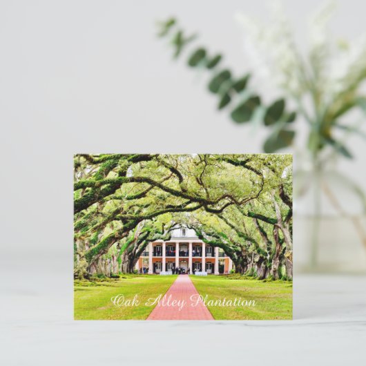 Oak Alley Plantation Briefkaart (Staand voorkant)
