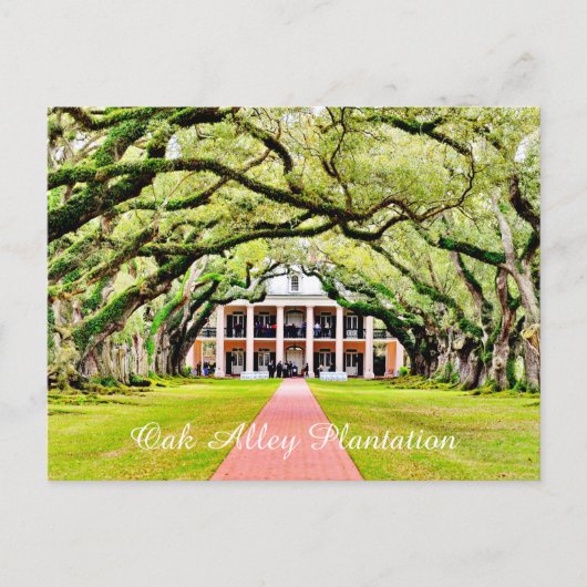 Oak Alley Plantation Briefkaart (Voorkant)