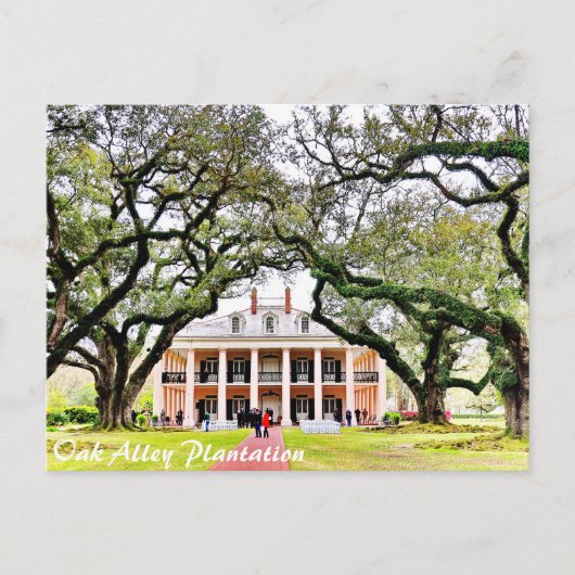 Oak Alley Plantation Briefkaart (Voorkant)