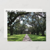 Oak Alley Plantation Briefkaart (Voorkant / Achterkant)