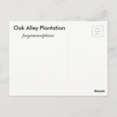 Oak Alley Plantation Briefkaart (Achterkant)