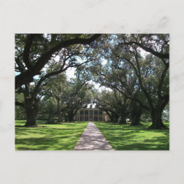 Oak Alley Plantation Briefkaart