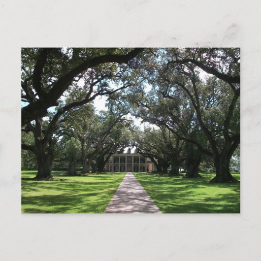 Oak Alley Plantation Briefkaart (Voorkant)