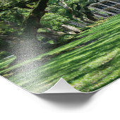 Oak Alley Plantation Foto Afdruk (Hoek)