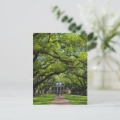 Oak Alley Plantation House Briefkaart (Staand voorkant)