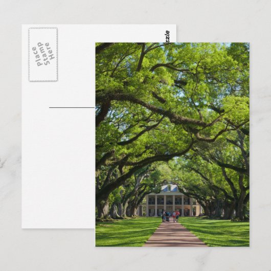Oak Alley Plantation House Briefkaart (Voorkant / Achterkant)