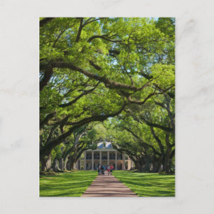 Oak Alley Plantation House Briefkaart