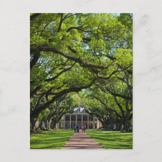 Oak Alley Plantation House Briefkaart (Voorkant)