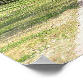 Oak Alley Plantation Poster (Hoek)