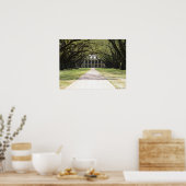 Oak Alley Plantation Poster (Keuken)