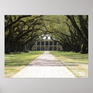Oak Alley Plantation Poster
